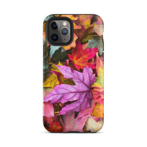 Fall Lovers Color Splash - Super Tough iPhone Case  from Weeks Honey Farm, Inc. http://www.WeeksHoneyFarm.com