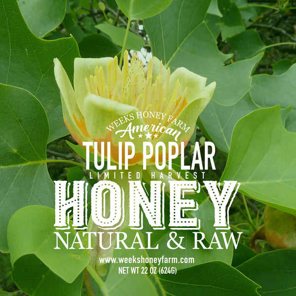 Our Best Naturally Dark Raw Tulip Poplar Honey - Honey - Only $21.99! Order now at Weeks Honey Farm